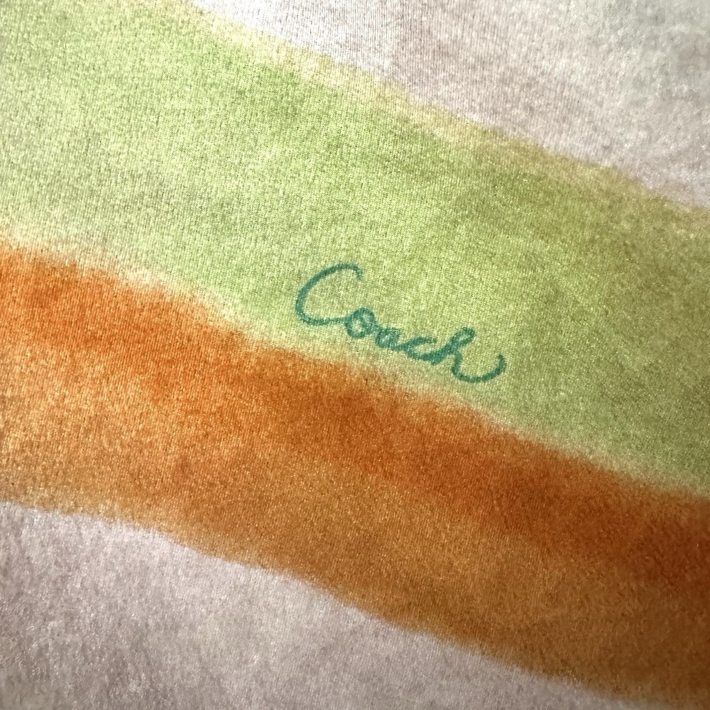 Coach 10" X 58" 100% Silk Watercolor Rainbow Head Bag Neck Scarf Logo Spellout - Picture 5 of 9